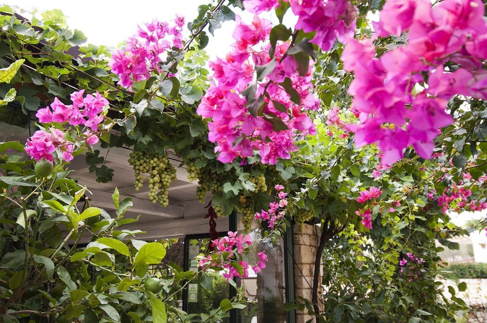 Trulli Valle d'Itria - Casa Soleluna Bed and Breakfast in Province of Taranto