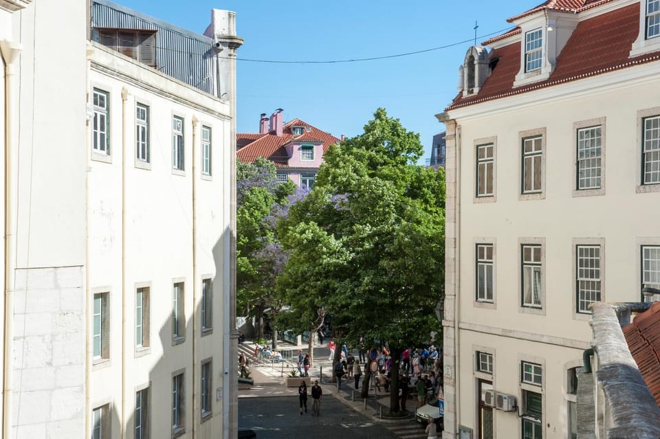 City view, Garden view, Street view