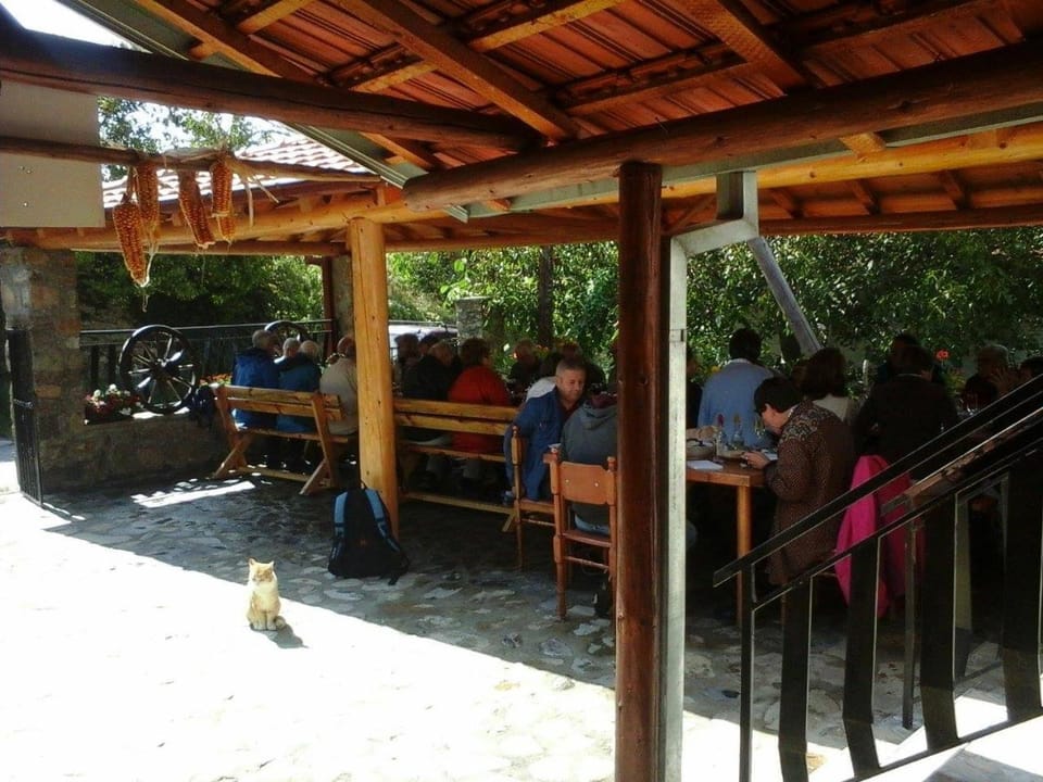 Patio, People