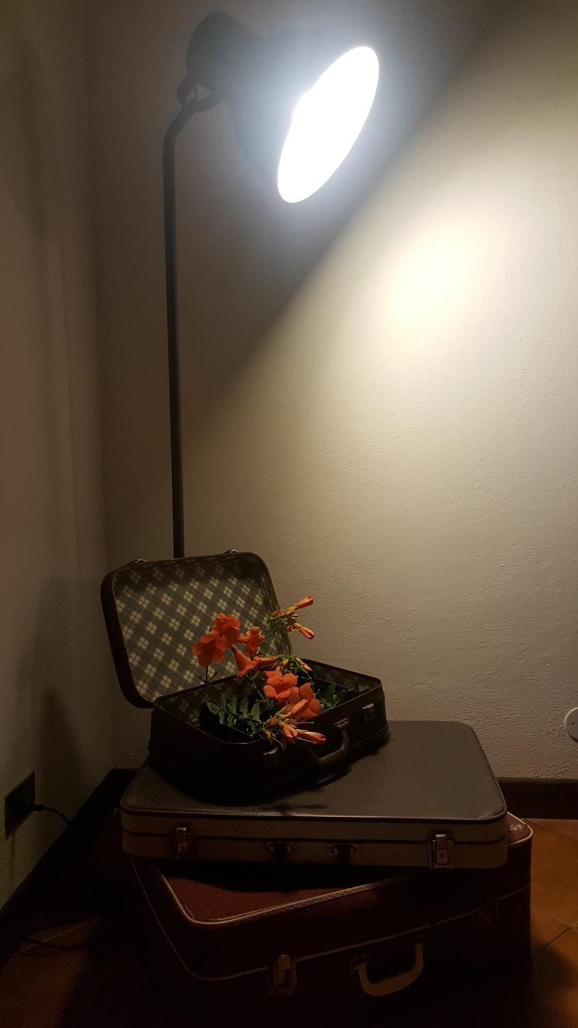 Communal lounge/ TV room, Decorative detail