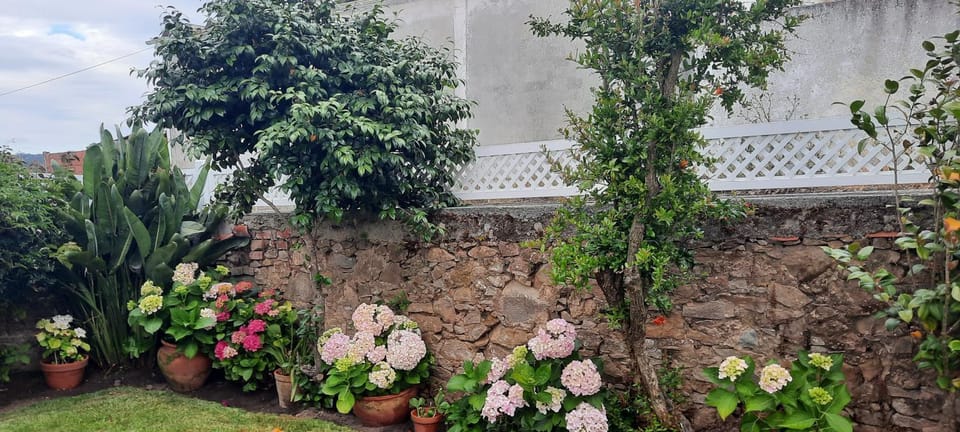 Inner courtyard view