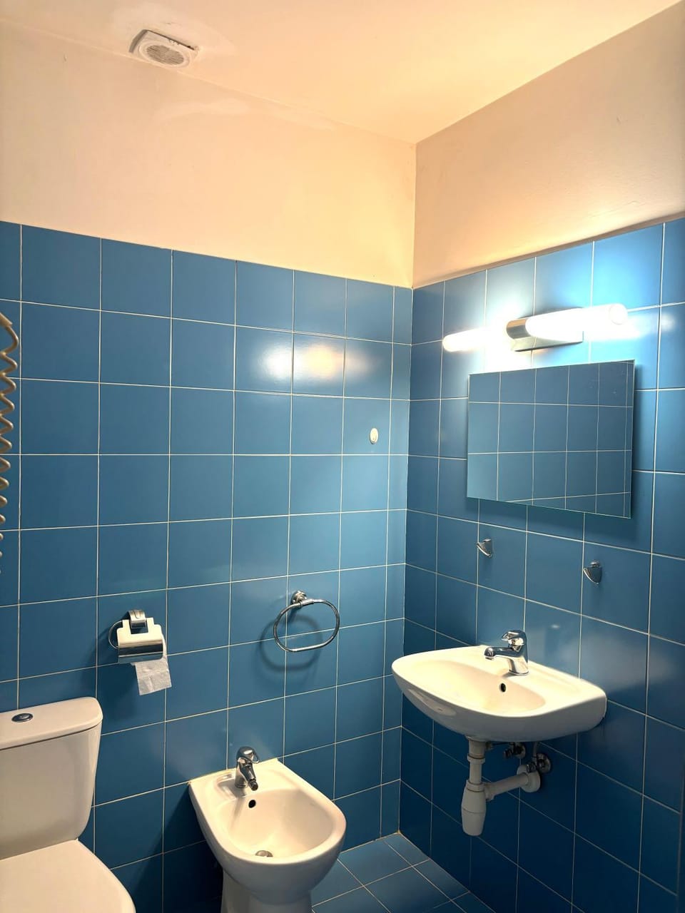 Toilet, Bathroom, bidet