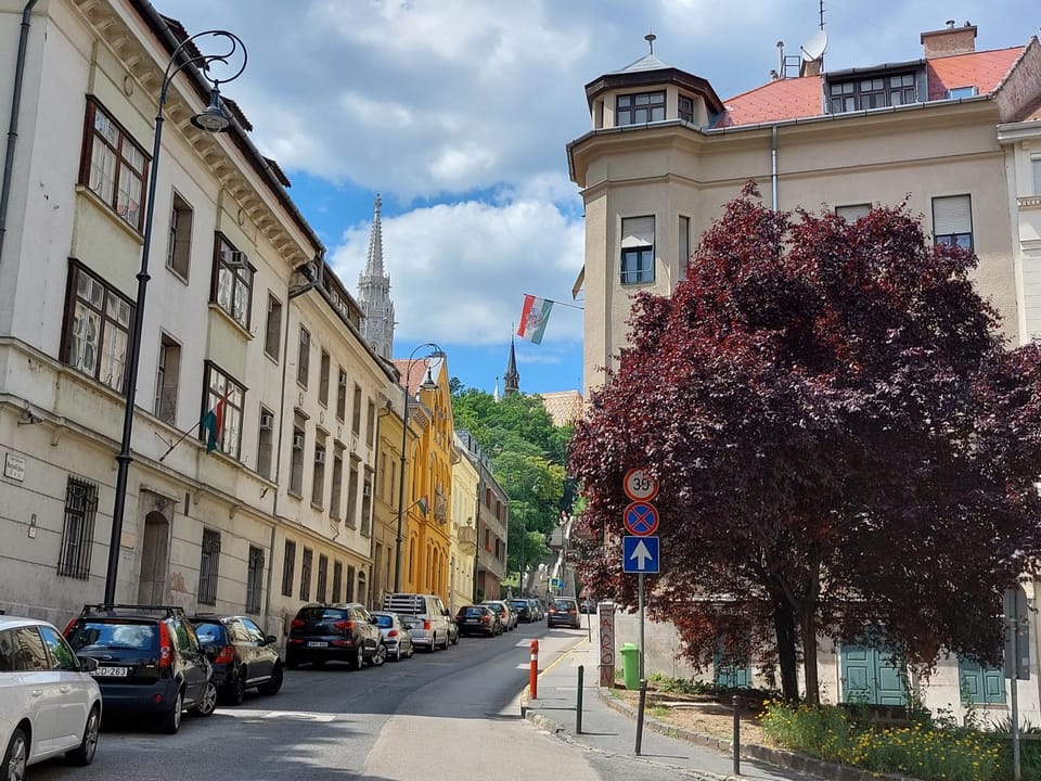 Day, Neighbourhood, Street view, Location, Parking