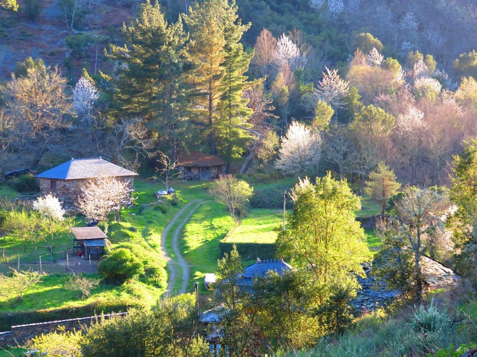 View (from property/room)