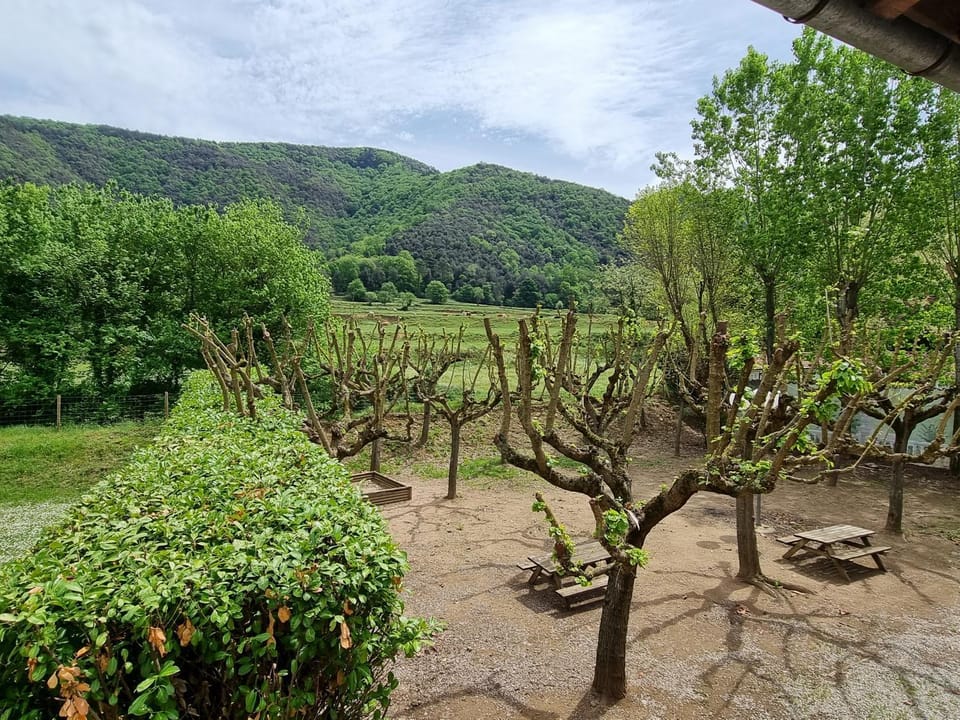 View (from property/room), Garden view