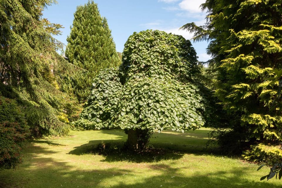 Firlands Lodge Nature lodge in Scotland