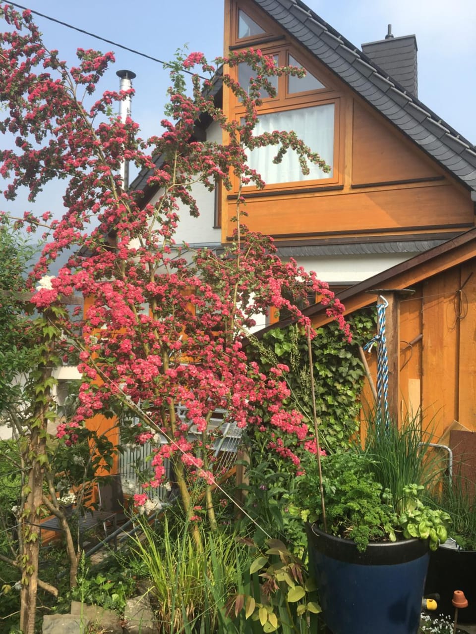 Property building, Garden