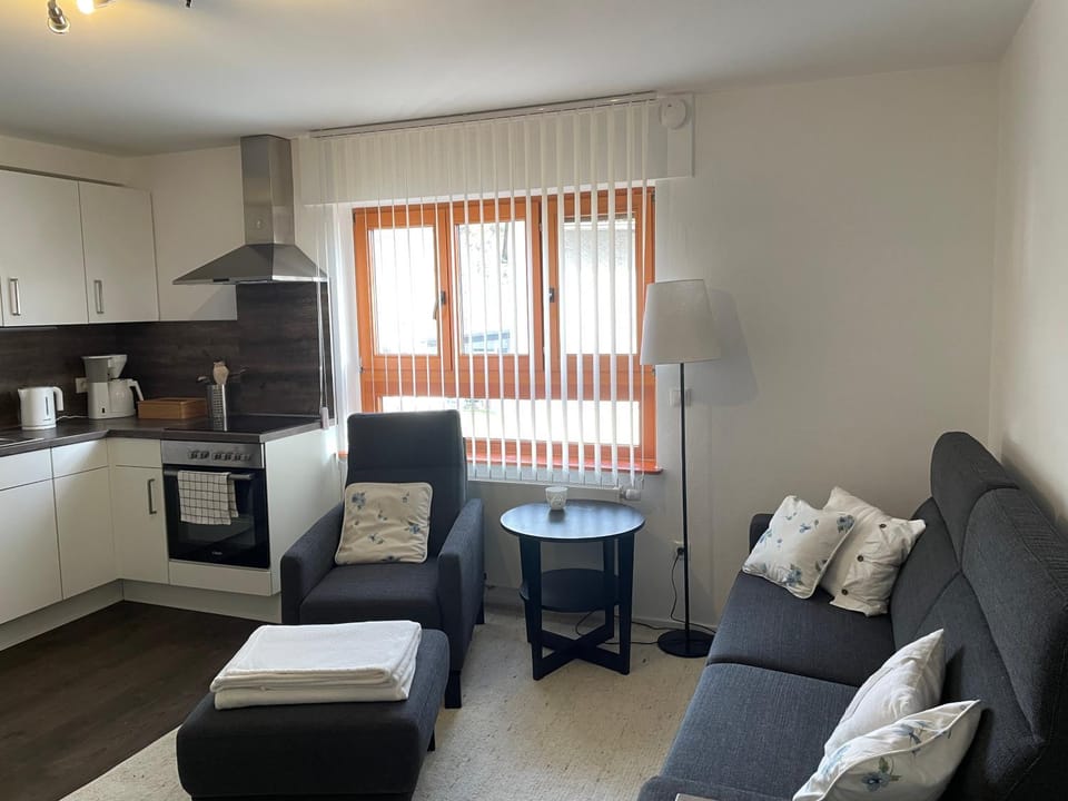 Kitchen or kitchenette, Living room, Seating area, stove