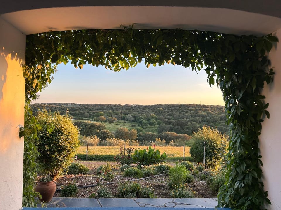 Herdade das Pintas House in Extremadura, Spain
