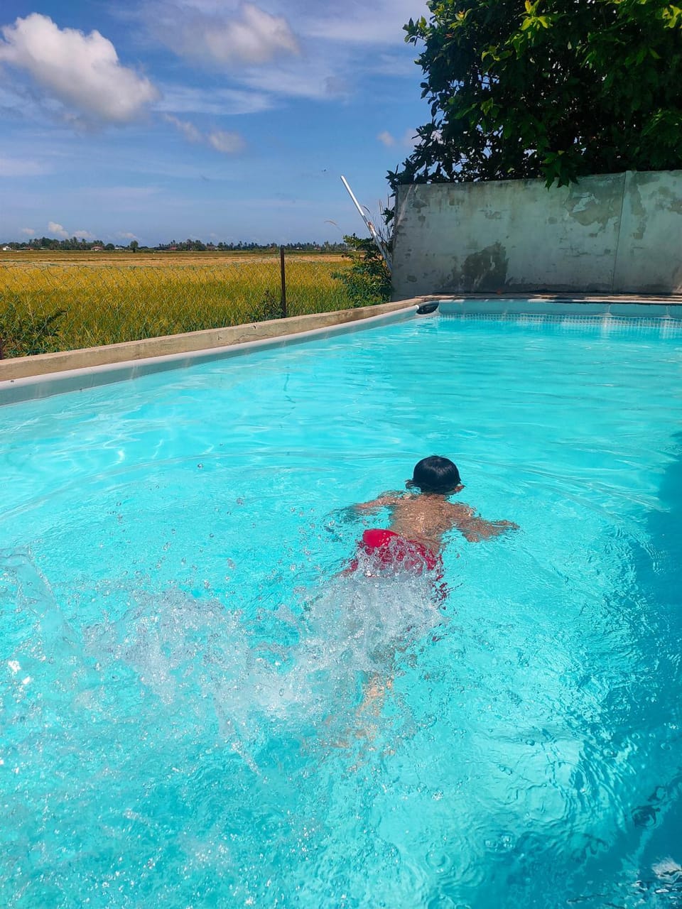 Natural landscape, Pool view, Swimming pool, children