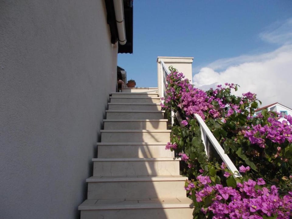 Apartman Milutin Apartment in Zadar County