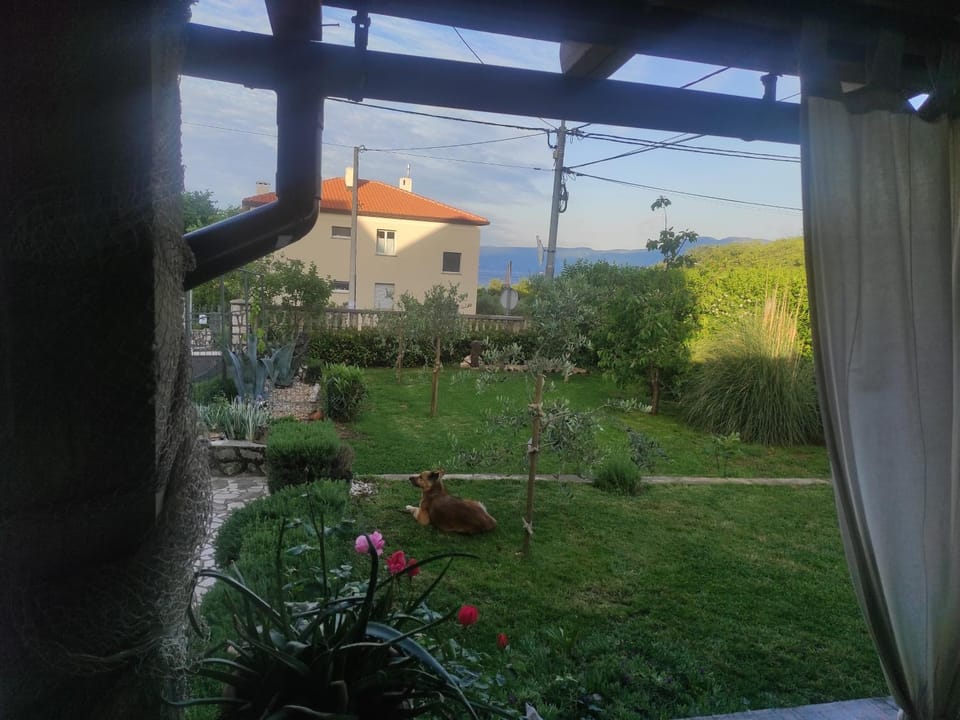 Spring, Garden