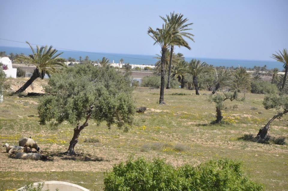 Sea view
