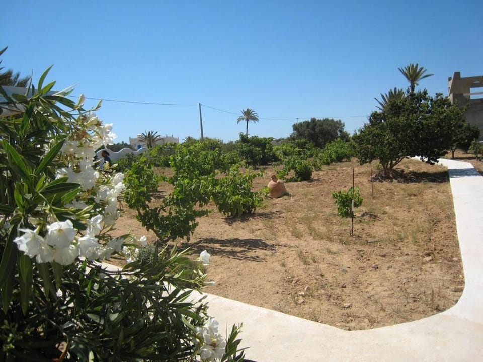 Garden view