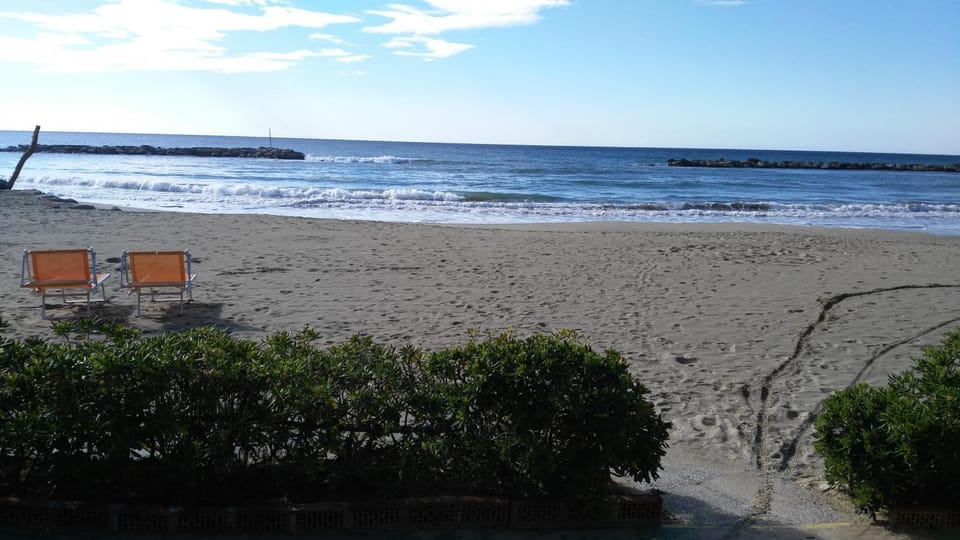 Beach, Beach