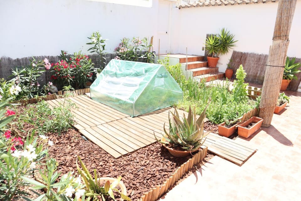 Patio, Garden