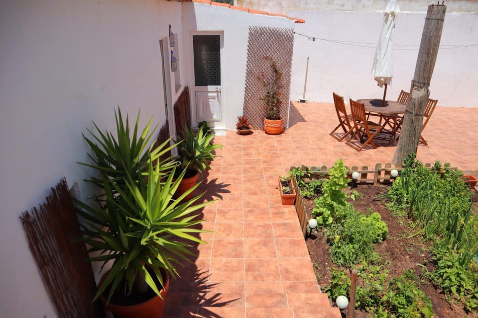 Patio, Garden