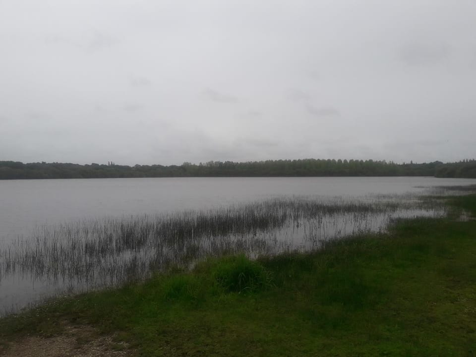 Natural landscape, Fishing, Hiking