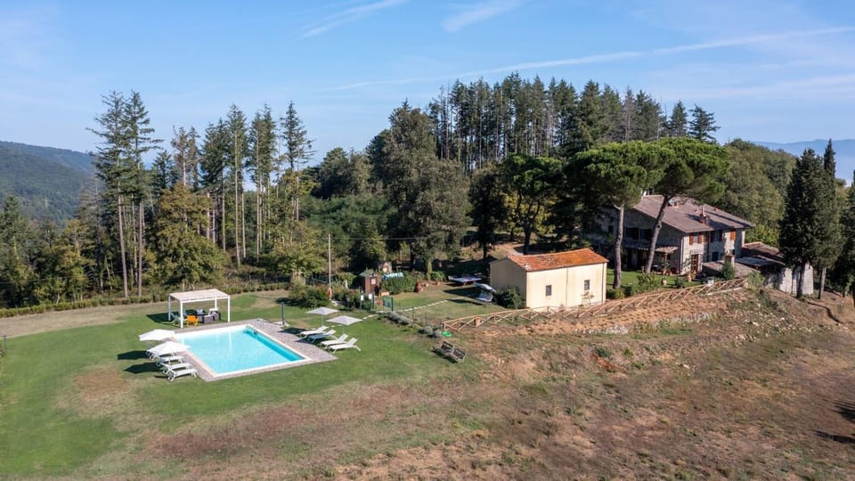 Natural landscape, Bird's eye view, Garden, Garden, Garden view, Pool view, Swimming pool, Swimming pool, sunbed