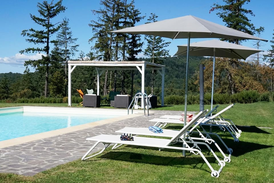 Garden, Garden view, Pool view, Swimming pool, Swimming pool, sunbed