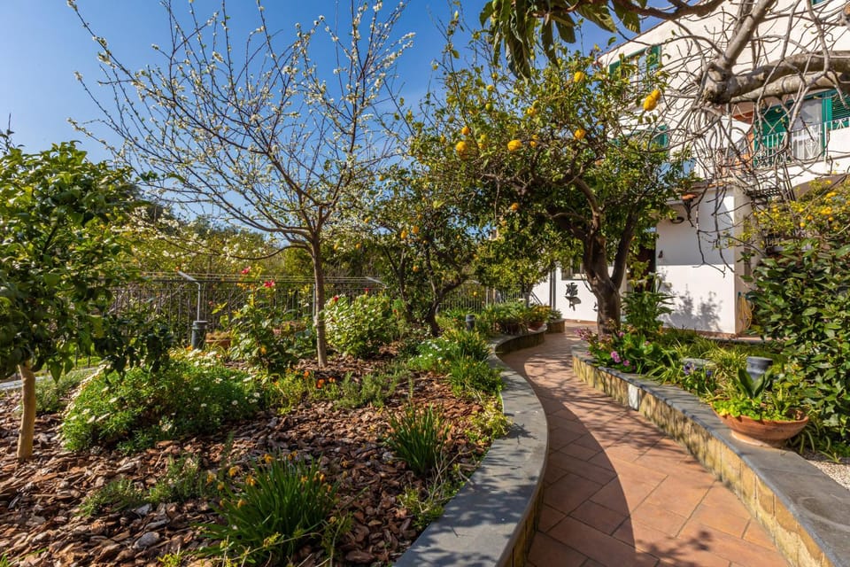 Spring, Garden, Garden view