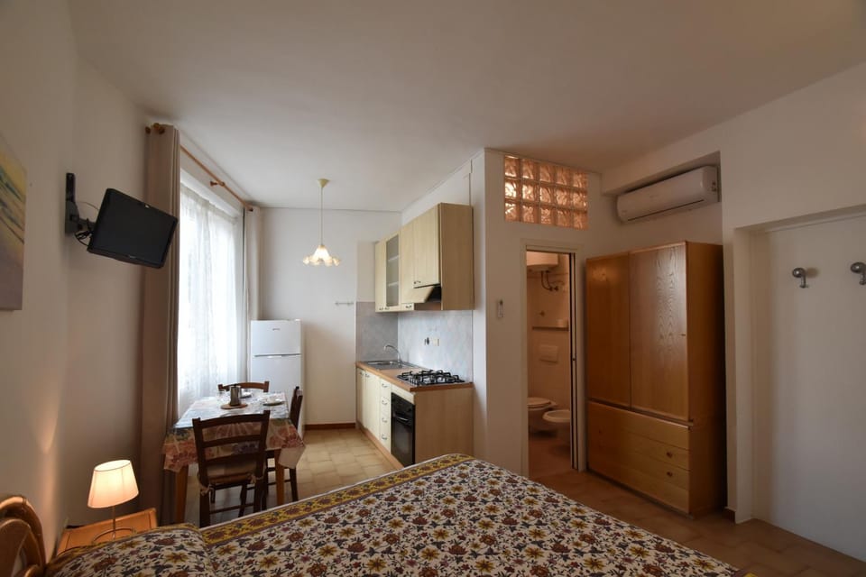 Bed, TV and multimedia, Kitchen or kitchenette, Living room, air conditioner