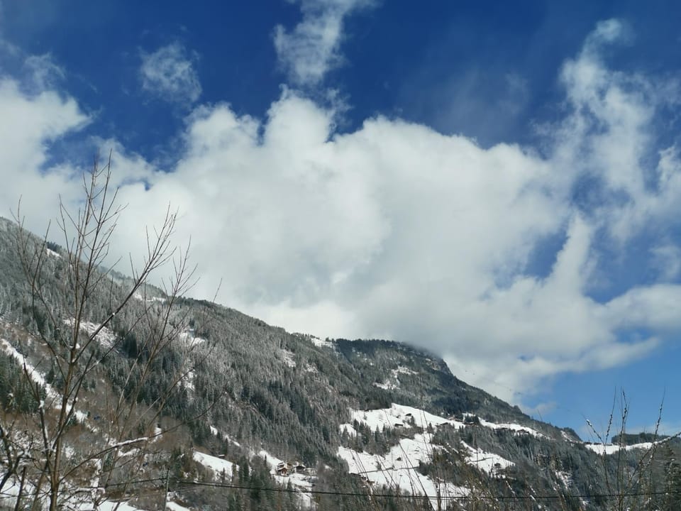 Appartement Geisler Apartment in Tyrol