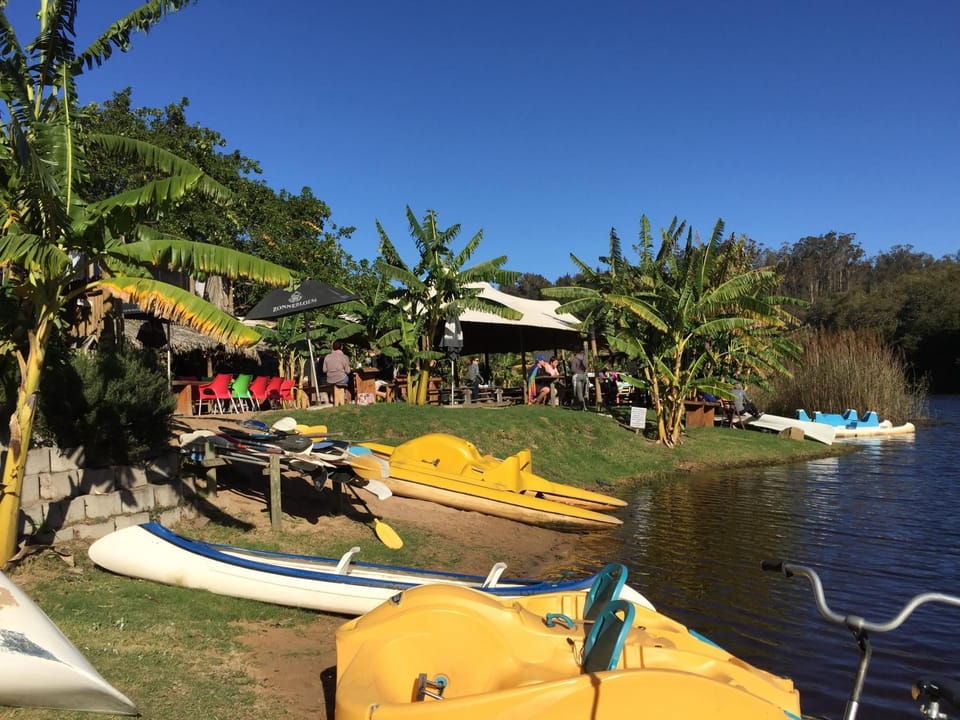 People, Natural landscape, Activities, River view