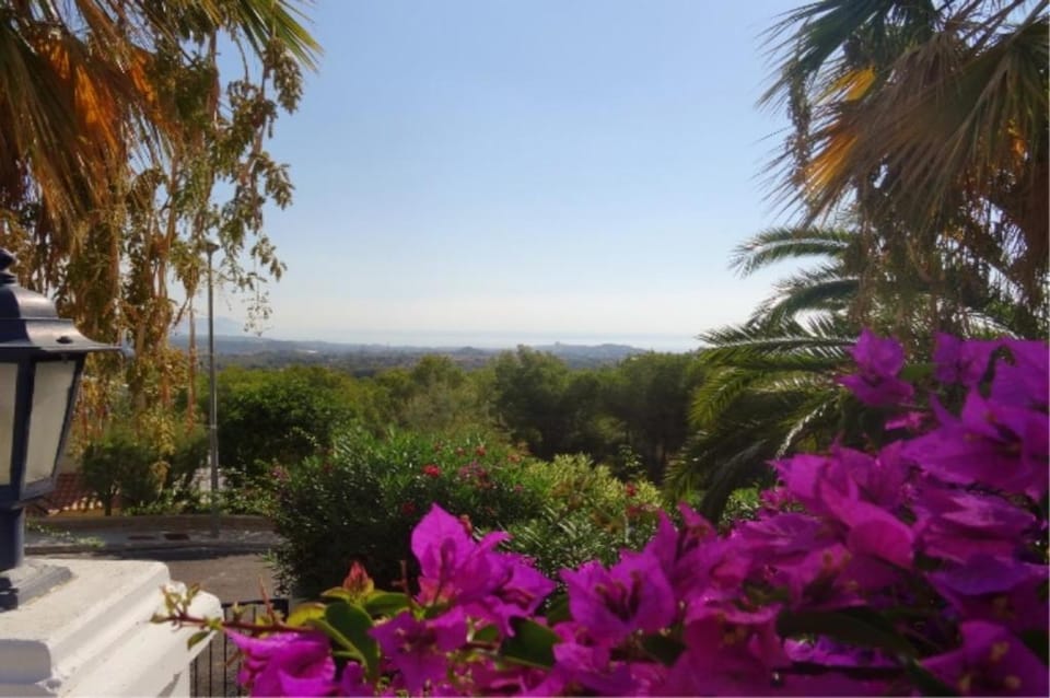 Garden, Garden, Sea view