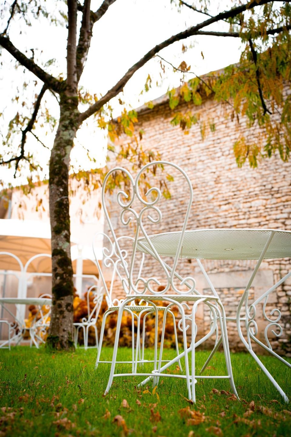 Patio, Garden, Garden view