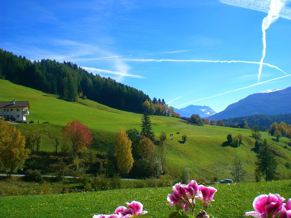 Autumn, Mountain view