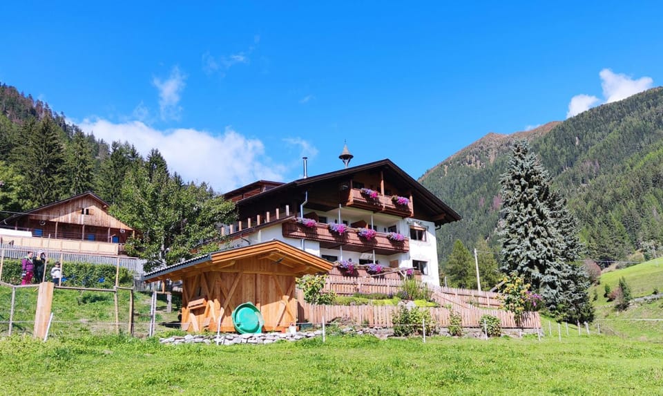 Property building, Summer