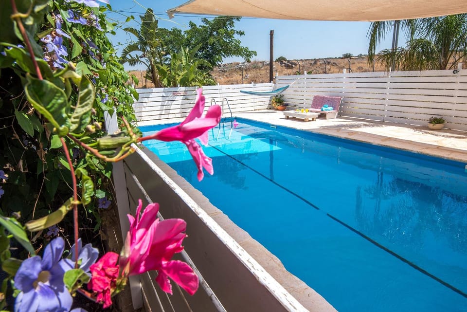 Swimming pool, Swimming pool