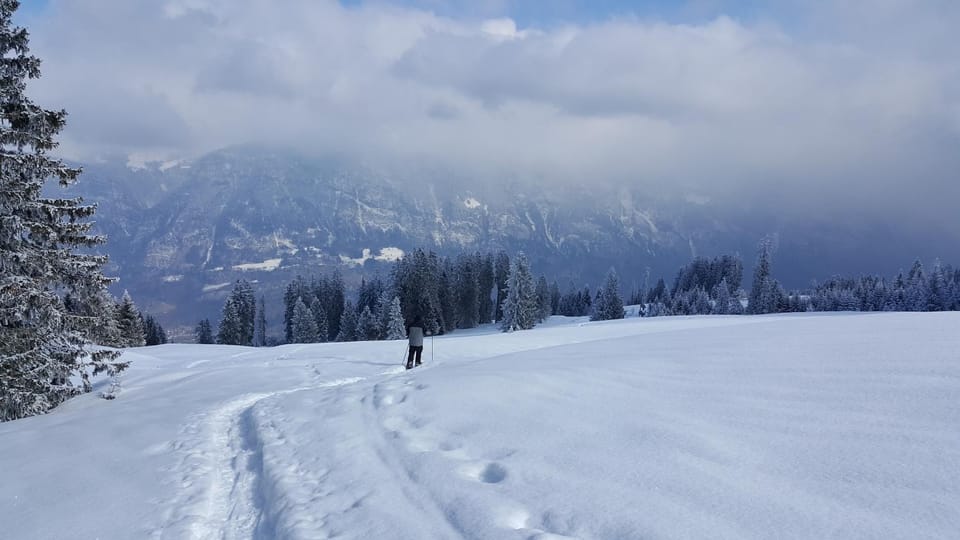 Natural landscape, Winter, Hiking