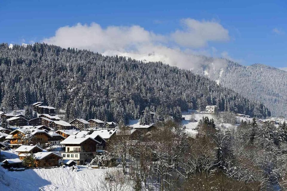 Natural landscape, Winter