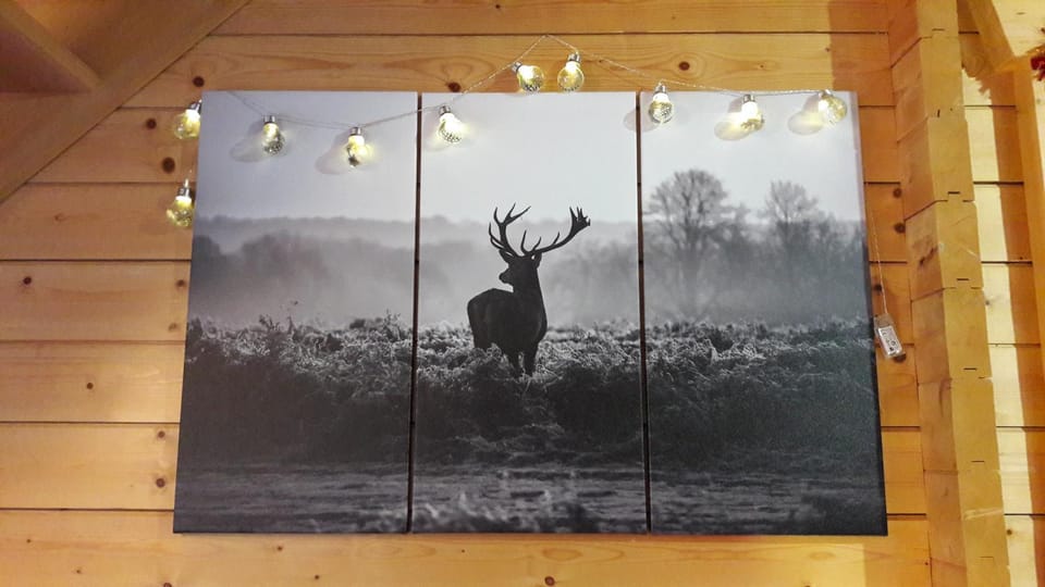 Christelle et Laeticia Chalet in Xonrupt-Longemer