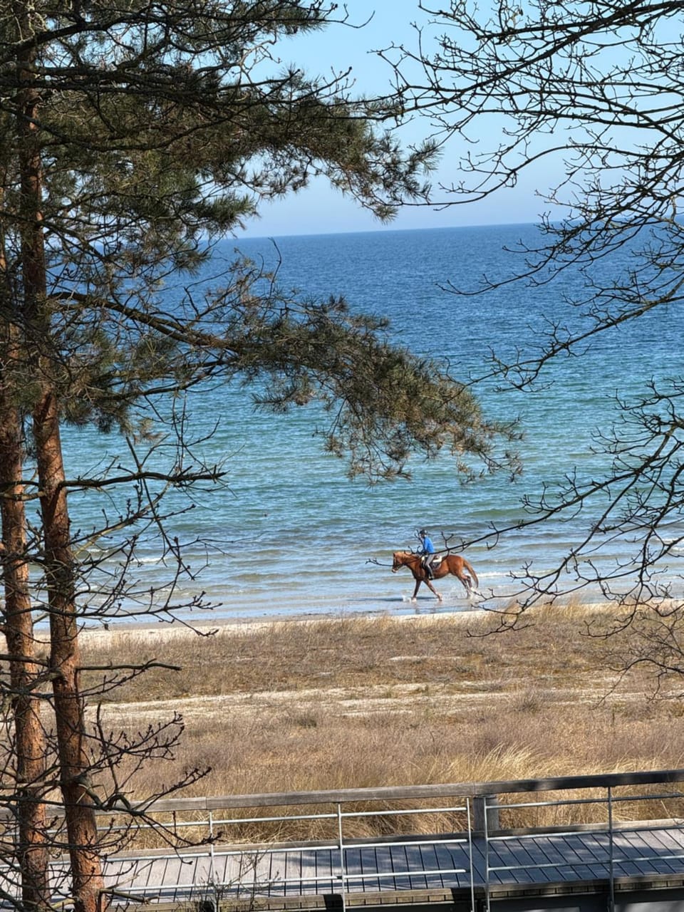 View (from property/room), Beach