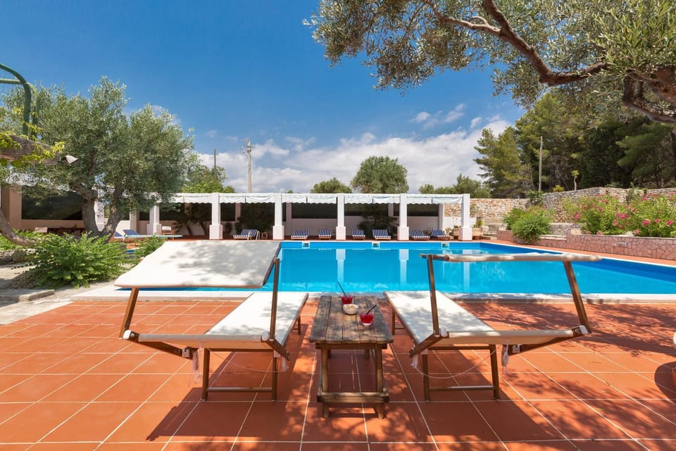 Swimming pool, Swimming pool