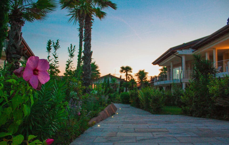 Summer, On site, Sunset