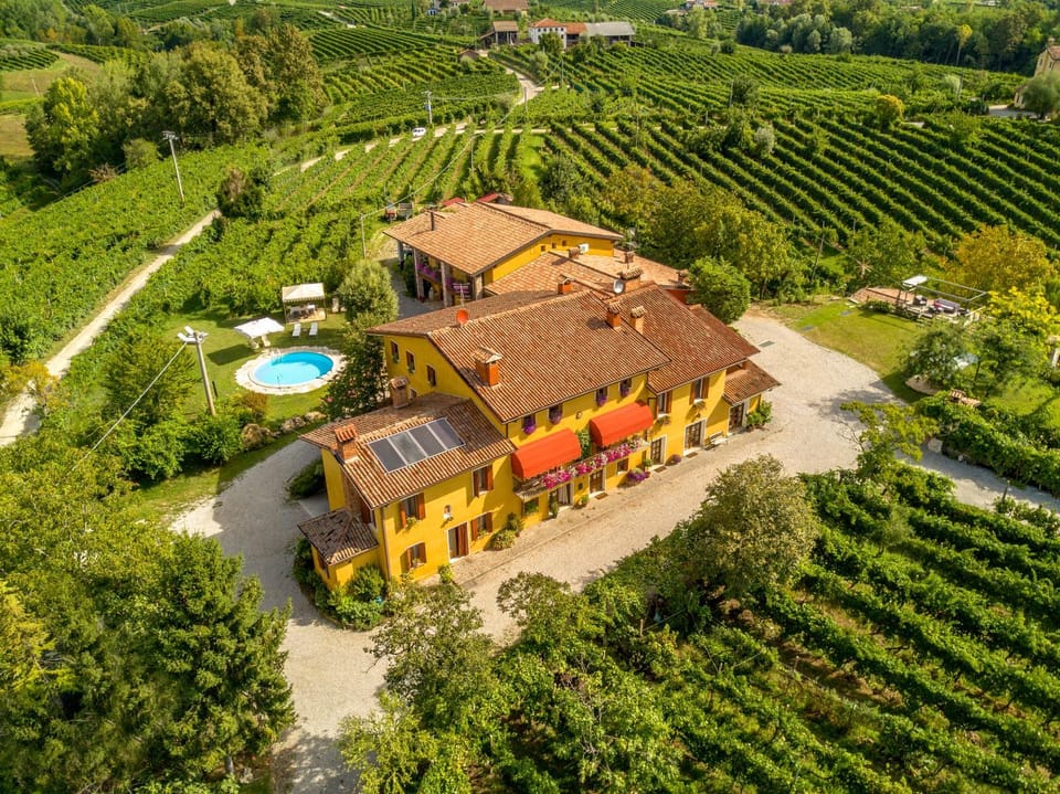 Bird's eye view, Garden view, Landmark view, Pool view