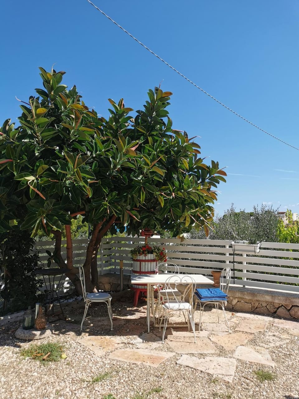 Garden, Dining area, Garden view
