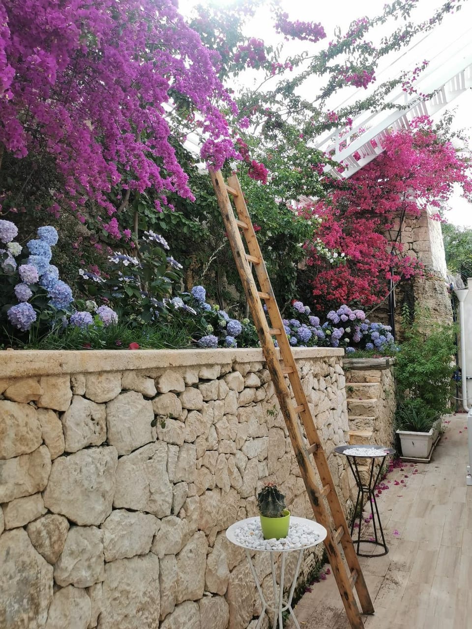 Garden view