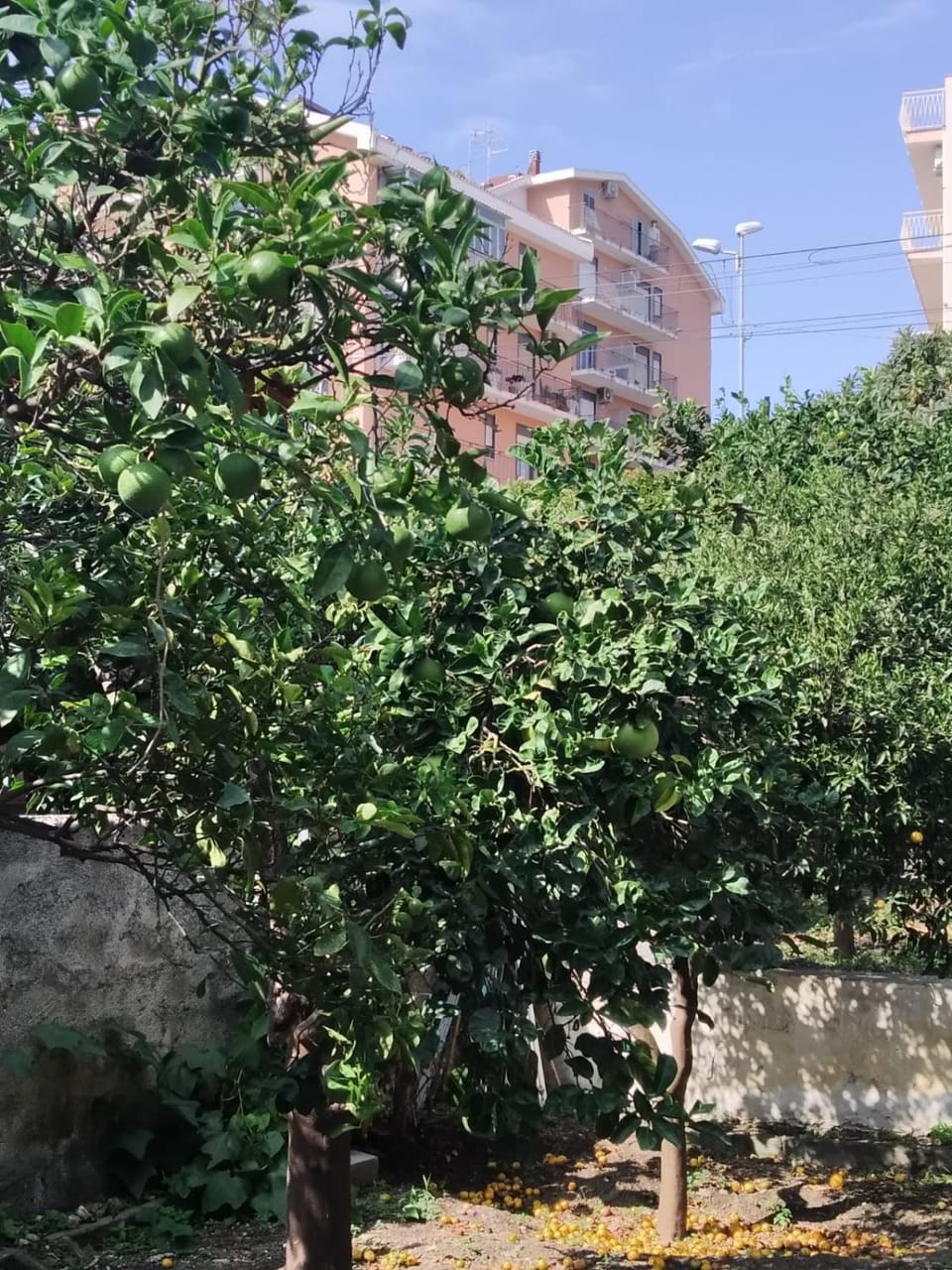 Appartamenti Mantarro Travel and Living House in Sicily