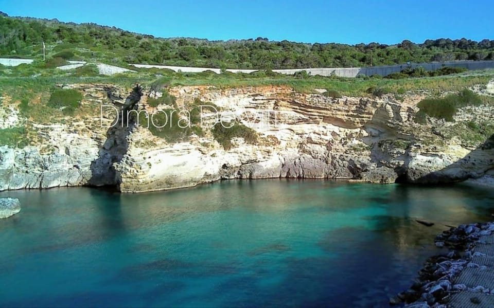 Natural landscape