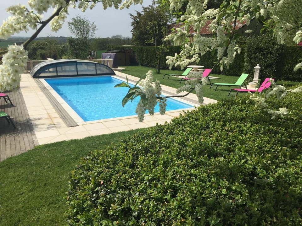 Garden, Swimming pool