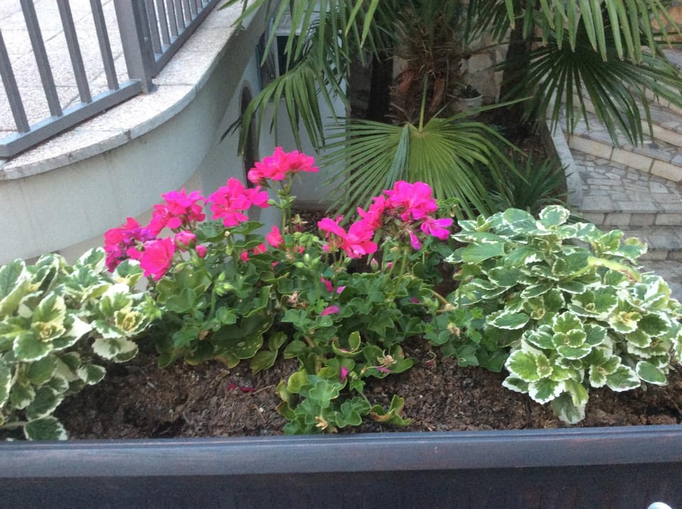 Natural landscape, Balcony/Terrace, Area and facilities