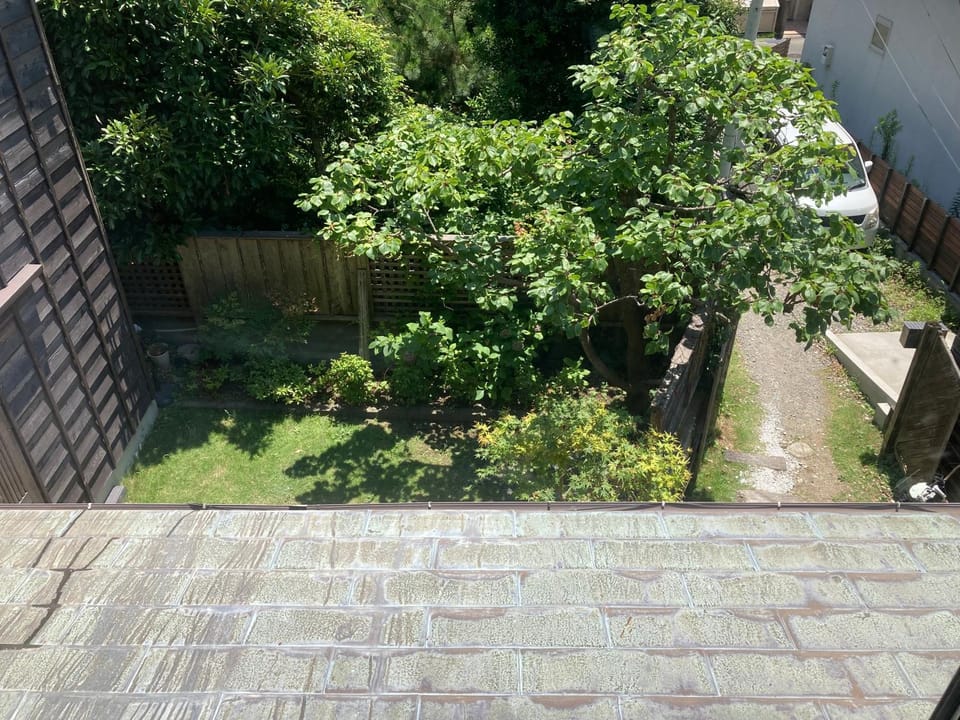 Day, Garden, Garden view