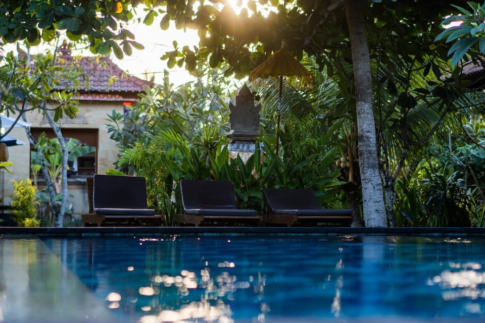 Day, Garden, Garden view, Pool view, Swimming pool