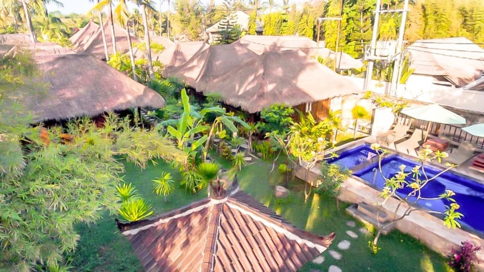 Pool view, Swimming pool