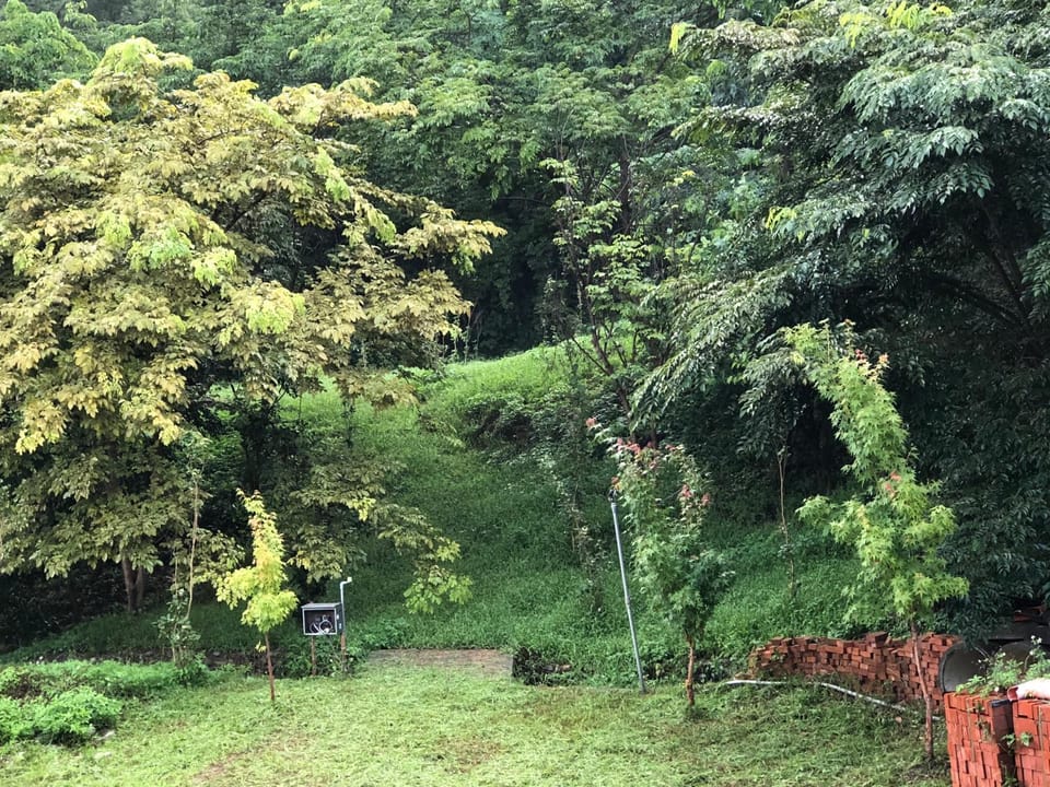 樹之間民宿 樟間 櫸間 Nature lodge in Taiwan, Province of China